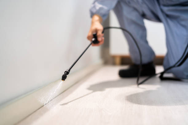 Licensed Termite Control service in Gruetli-Laager, TN - Nex Pest Control