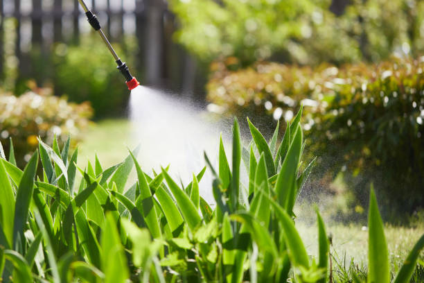 24/7 Emergency Termite Control experts in Gruetli-Laager, TN